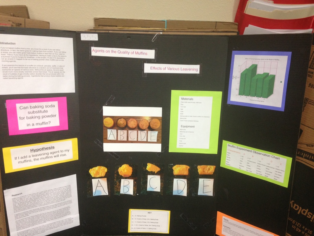 Science Fair Projects - Welcome to Mrs Elif's 3rd Grade Math & Science